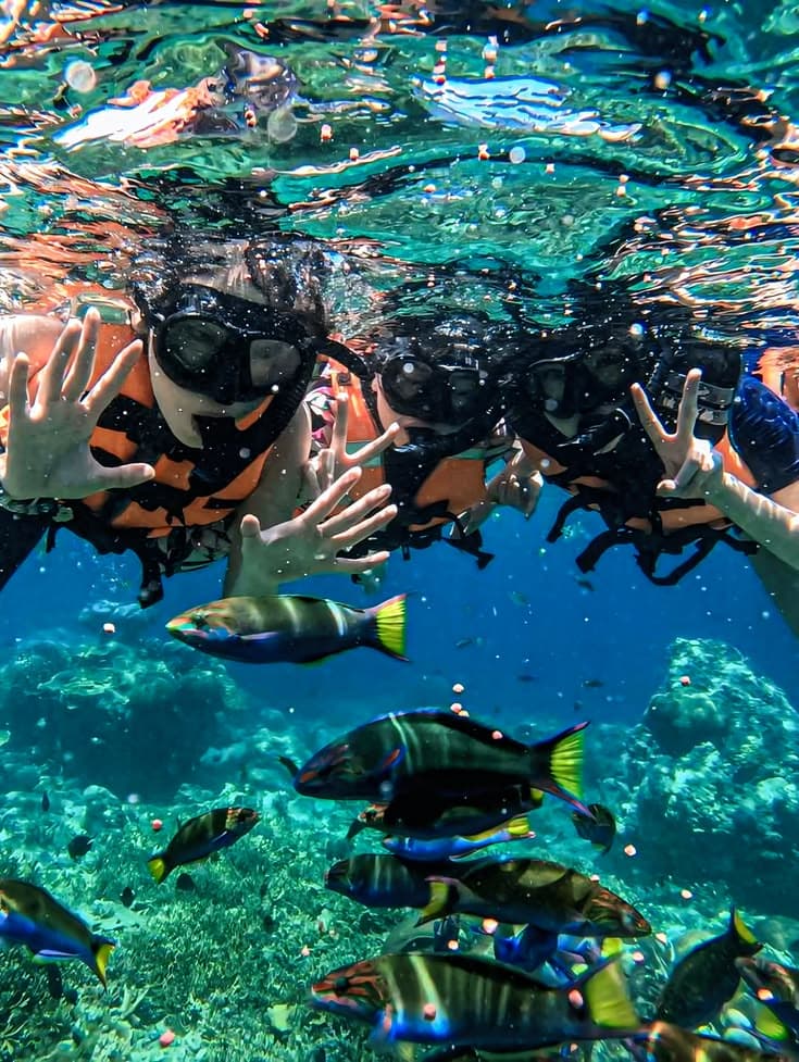 Spot Snorkeling Kei thumb