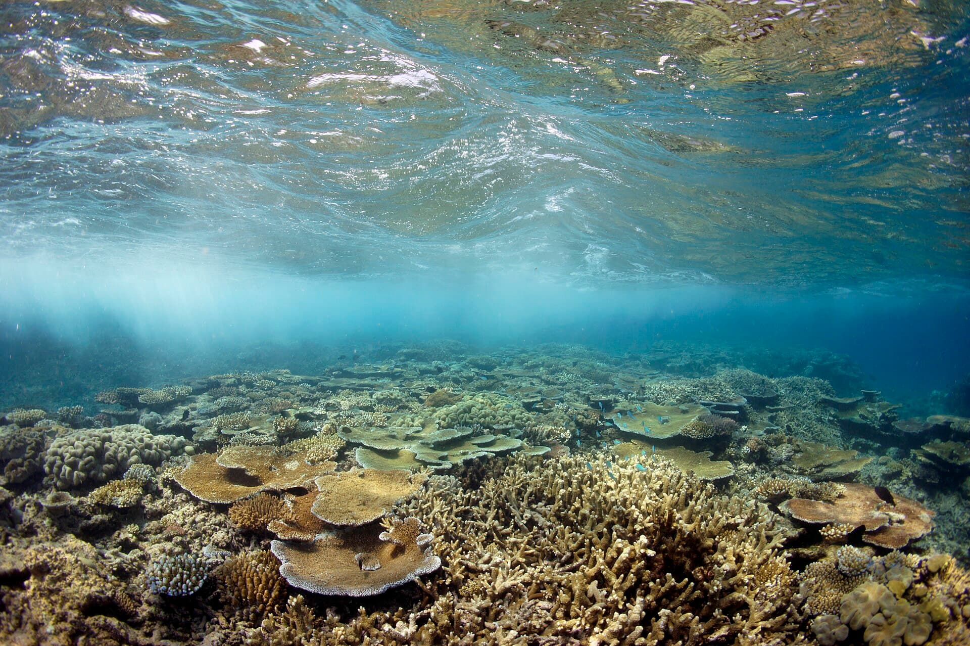 Bawah Laut Kei